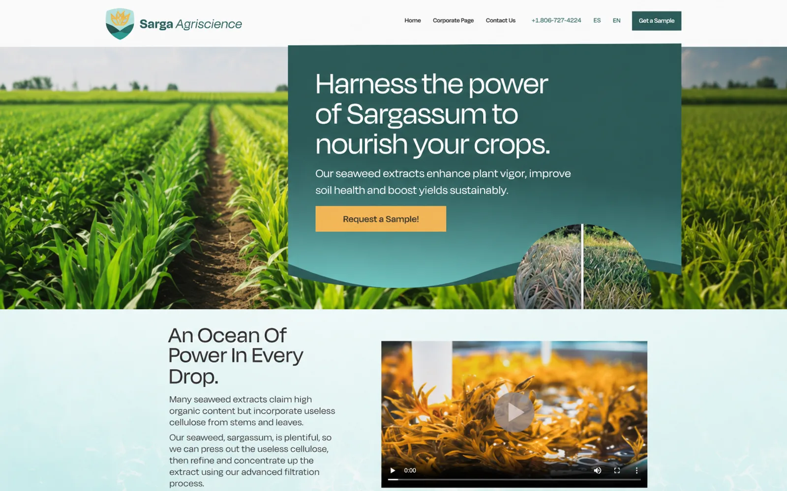 Sarga website screenshot